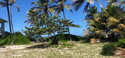 Palm Island Beachfront Land Image 7