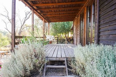 Charming Wooden House & Small Bungalow In Bodrum For Sale - Pretty terrace