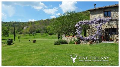 Stone-House-for-sale-in-Tuscany-Italy-2