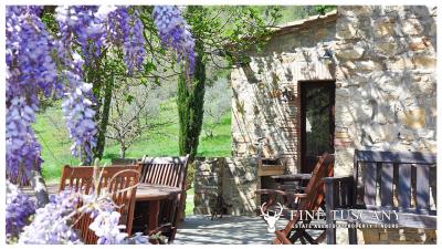 Stone-House-for-sale-in-Tuscany-Italy-10