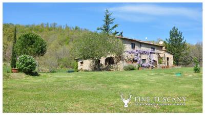 Stone-House-for-sale-in-Tuscany-Italy-13