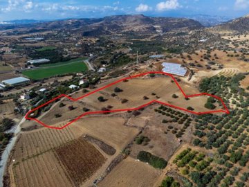 Field in Agios Theodoros, Larnaca