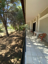 Photo 6 - Cottage 200 m² in Peloponnisos