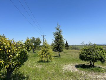 Photo 2 - Land 0 m² in Central Macedonia