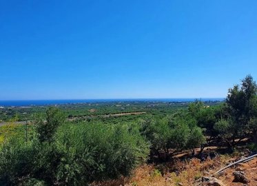 Photo 4 - Land 0 m² in Crete