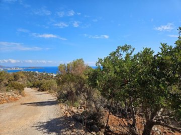 Photo 4 - Land 0 m² in Crete