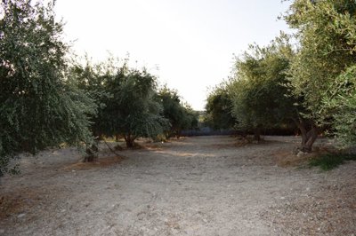 Photo 3 - Land 4800 m² in Crete