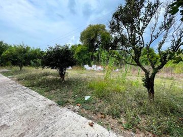 Photo 13 - Property 480 m² in Ionian Islands