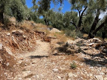 Photo 5 - Land 0 m² in Ionian Islands