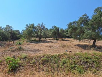 Photo 11 - Land 0 m² in Ionian Islands