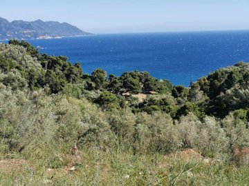 Photo 2 - Land 0 m² in Ionian Islands