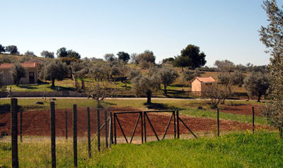 Photo 3 - Land 0 m² in Peloponnisos