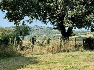 1 - La Salvetat-Peyralès, Maison