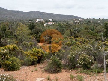 1 - Olhão, Plot