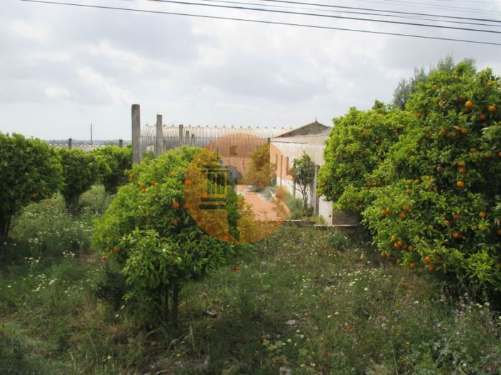 Image No.1-Terrain à vendre à Faro City