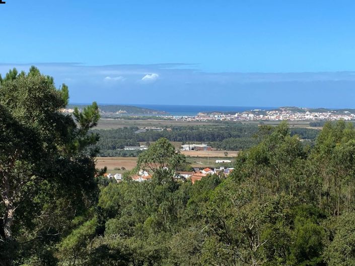 Image No.1-Terre à vendre à Alcobaça