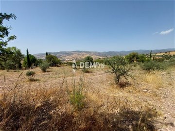 29134-agricultural-land-for-sale-in-fytifull