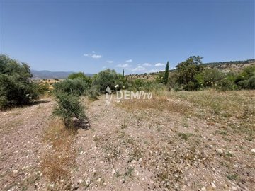 29136-agricultural-land-for-sale-in-fytifull