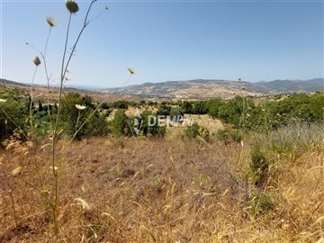 29138-agricultural-land-for-sale-in-fytifull