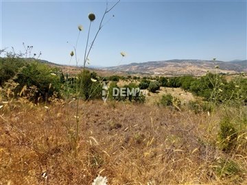 29139-agricultural-land-for-sale-in-fytifull