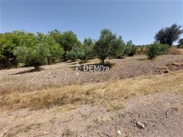 29142-agricultural-land-for-sale-in-lasafull