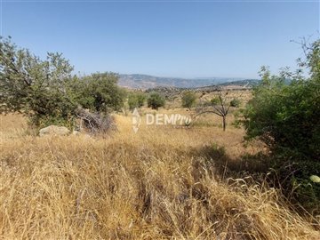 29146-agricultural-land-for-sale-in-pentaliaf