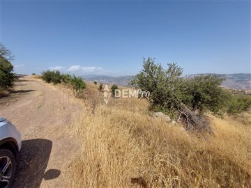 29145-agricultural-land-for-sale-in-pentaliaf