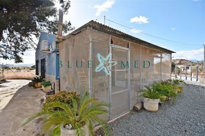 Blue Med Invest most sold property