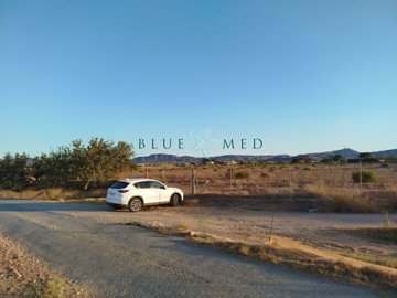 Blue Med Invest most sold property