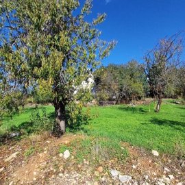 Residential Land  For Sale  in  Mesoyi