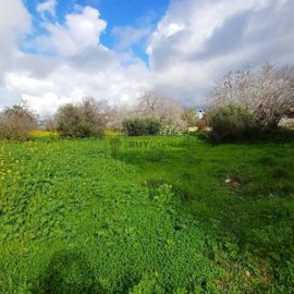 Residential Land  For Sale  in  Mesoyi