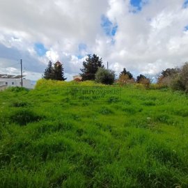 Residential Land  For Sale  in  Mesoyi