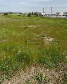 Residential Land  For Sale  in  Timi