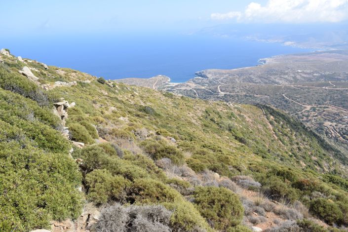 Image No.1-Terre à vendre à Andros