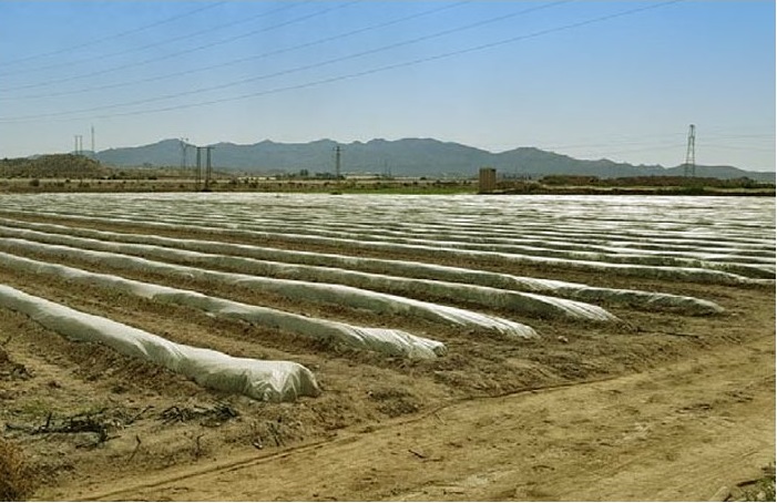 Image No.1-Propriété à vendre à Cuevas del Almanzora