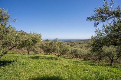 1 - Chania, Propriété