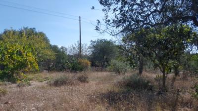 Property for sale in Ostuni - 57 properties - A Place in the Sun