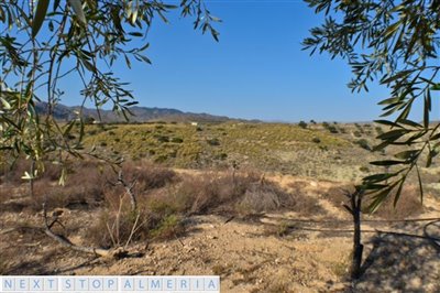 Views of the highest point of the plot