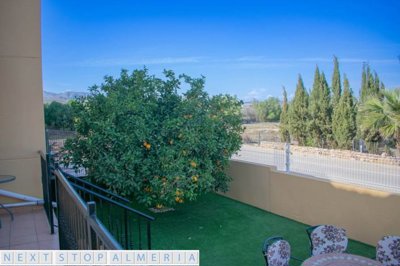 Rear terrace and garden