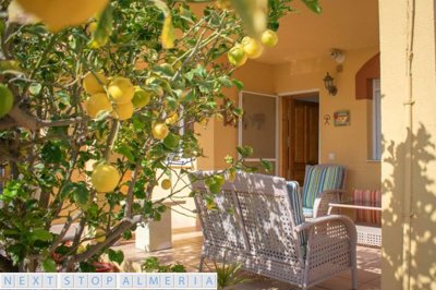 Garden and covered terrace