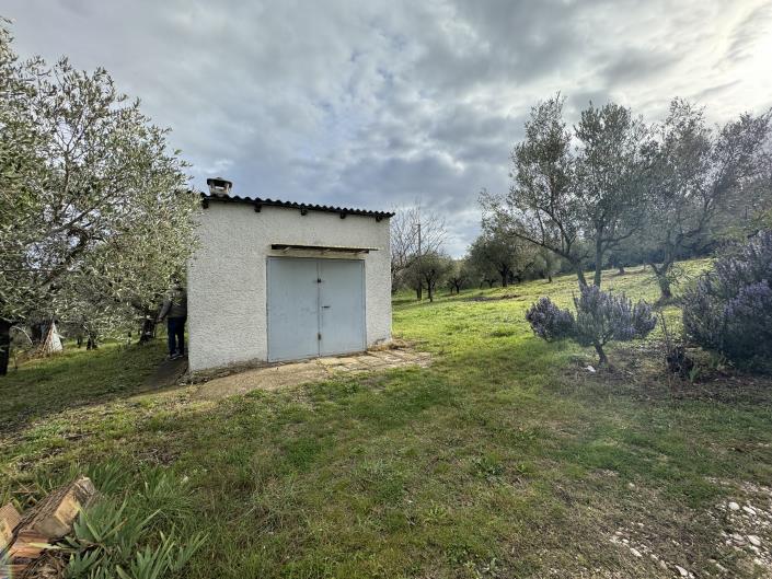 Image No.1-Studio à vendre à Castél Frentano