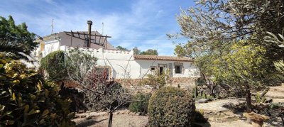 country-house-in-pinoso-6-large