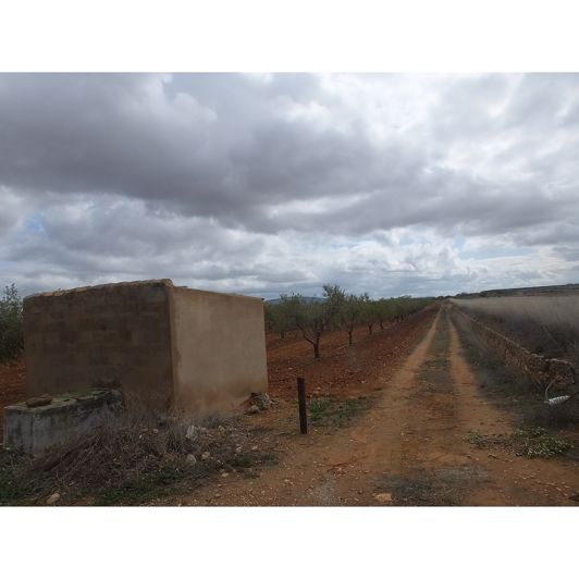 Image No.1-Land for sale