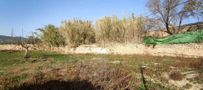 23480-country-house-for-sale-in-villena-13545