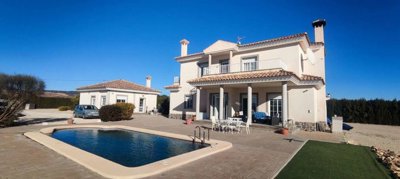 23959-villa-for-sale-in-pinoso-1381564-large