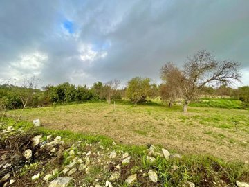 plot-in-kallepia-for-sale-cyprus-1