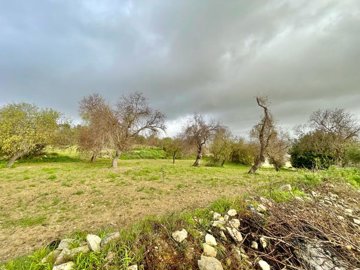 plot-in-kallepia-for-sale-cyprus1