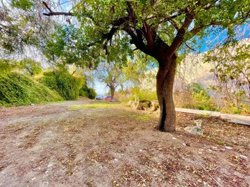 plot-for-sale-konia-paphos1