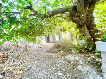 old-traditional-house-for-sale-paphos-cyprus