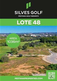 1 - Silves, Plot